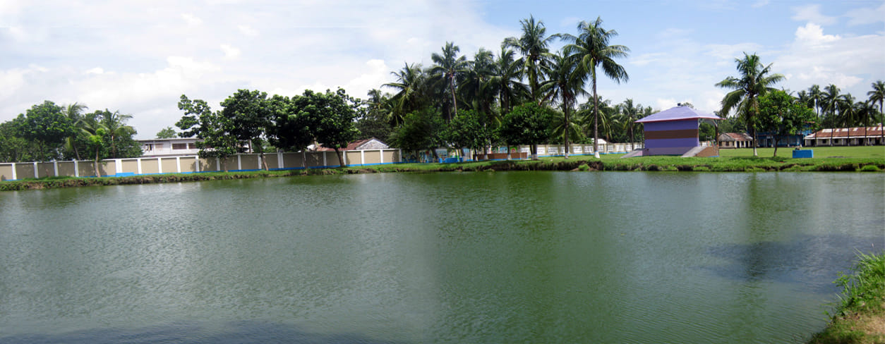 গ্যালারি ছবি 5